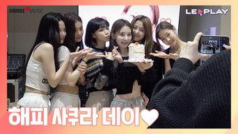 Happy Sakura Day | Today is March 19th!