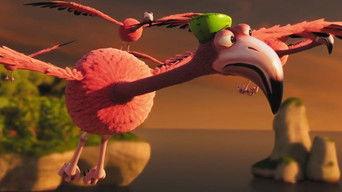 Flight of the Flamingos