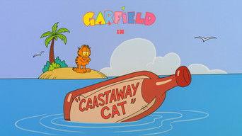 Castaway Cat