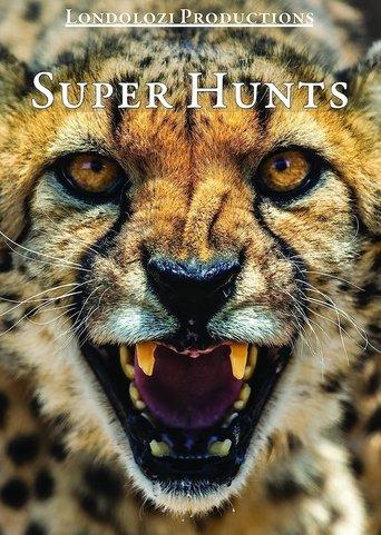 Super Hunts, Super Hunters film afişi