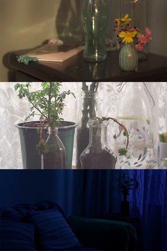 The Sleeping Beauty film afişi