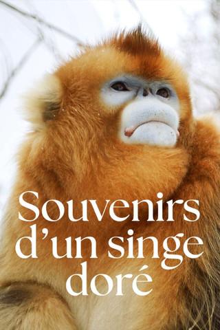 Souvenirs d'un singe doré film afişi