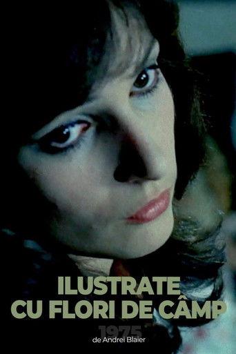 Postcards with Wildflowers film afişi