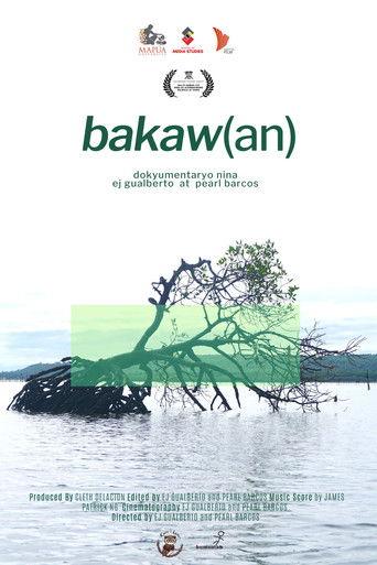 bakaw(an) film afişi