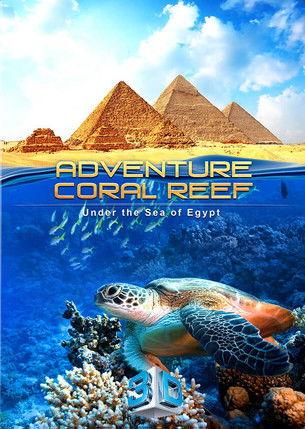 Adventure Coral Reef 3D - Under the Sea of Egypt film afişi