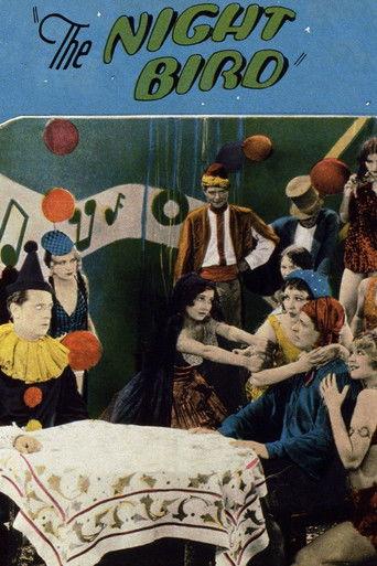 The Night Bird film afişi