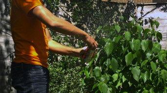 The Slow Mo Guys Present: Welcome to RTX!