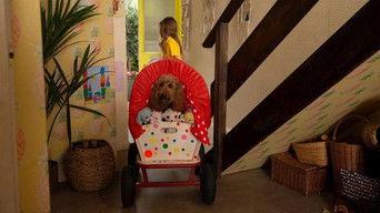 Waffle Tries to Be Still