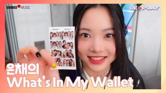 Eunchae's What's In My Wallet | Show off your favorite Polaroid photos~