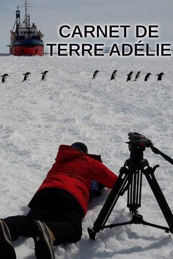 Carnet de Terre Adélie film afişi