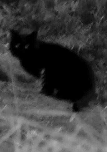 That's Not Me film afişi