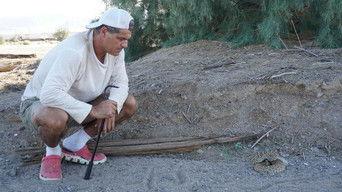 California: Episode 5