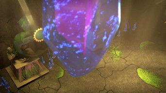 The Trials of the Pirate Protector