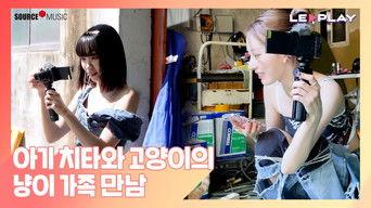 A Baby Cheetah Meets a Feline Family | Cat + Cat + Cheetah = Sinful Combination