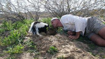 California: Episode 2