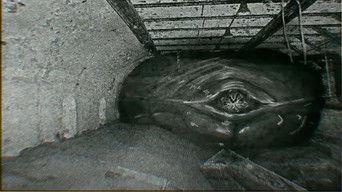 MeatSnakeSpecimen - Archived Footage