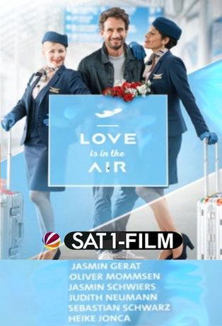 Love is in the air film afişi