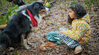 Giftige Angelegenheit