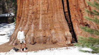 California: Episode 3