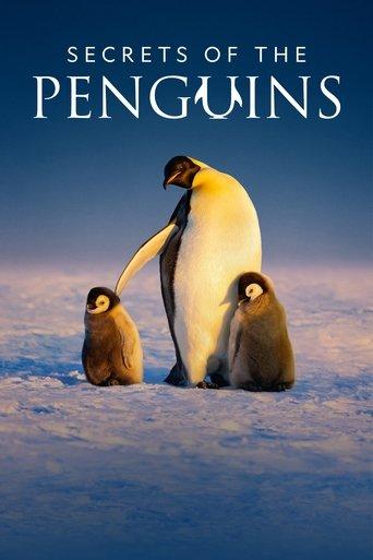 Secrets of the Penguins dizi afişi