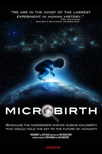Microbirth film afişi