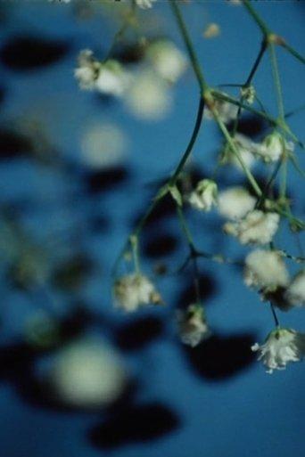 Transcript film afişi