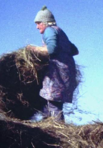 Land Makar film afişi