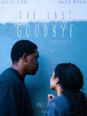 The Last Goodbye film afişi