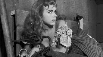 Incident of the Tumbleweed