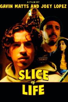 Slice of Life film afişi