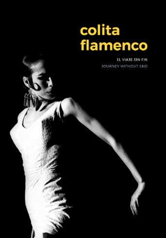 Colita: El viaje sin fin film afişi