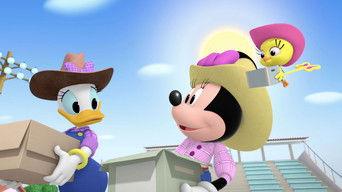 The Pony Prance Square Dance