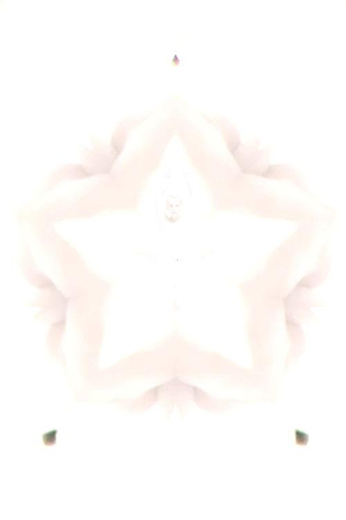 Flower of Flesh, Celestial Body film afişi