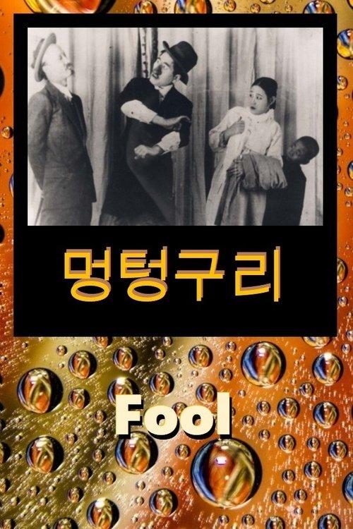 Fool film afişi