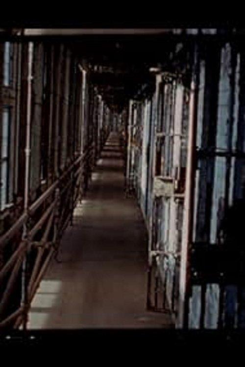 Air Force Two film afişi