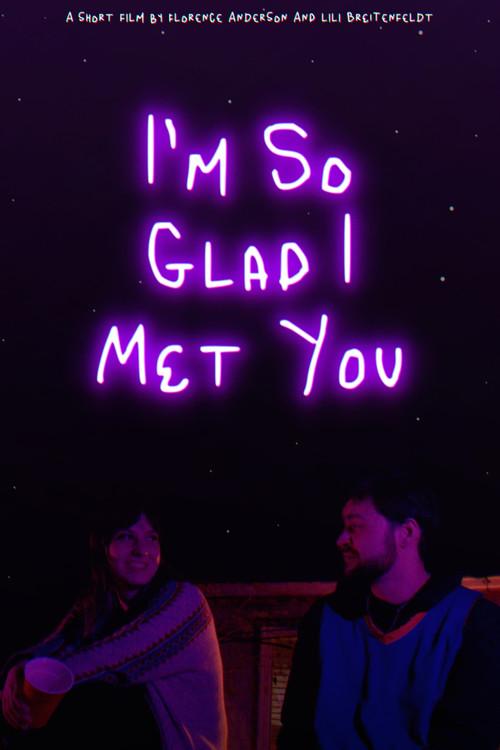 I'm So Glad I Met You film afişi