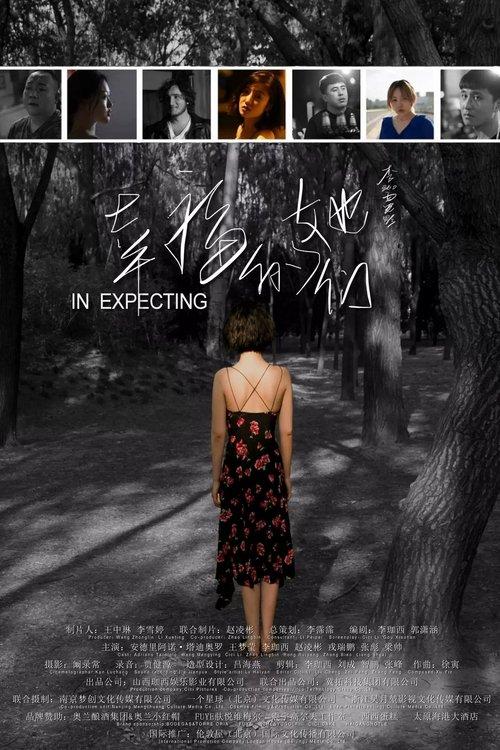 In Expecting film afişi