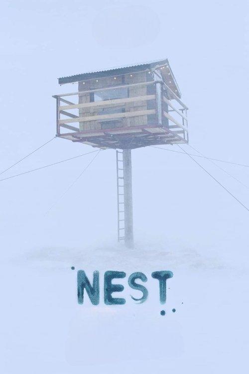 Nest film afişi