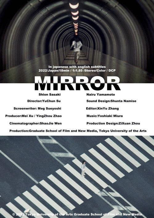 Mirror film afişi