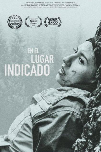 En el lugar indicado film afişi