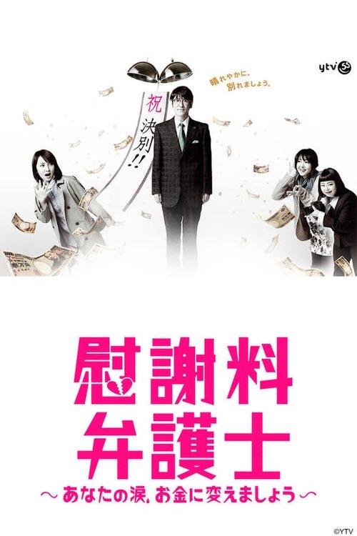 Divorce Chaser dizi afişi