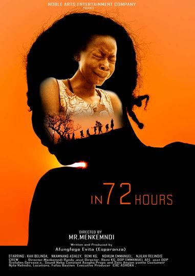 In 72 hours film afişi