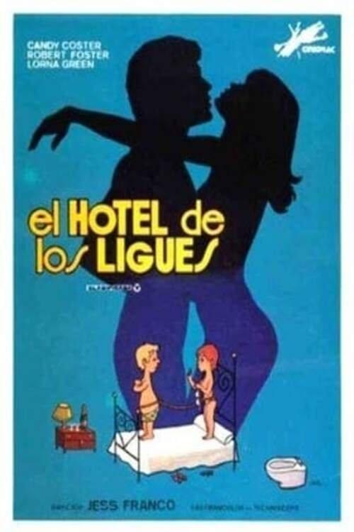 The Hotel of Love Affairs film afişi