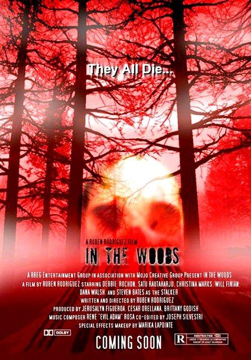 In the Woods film afişi