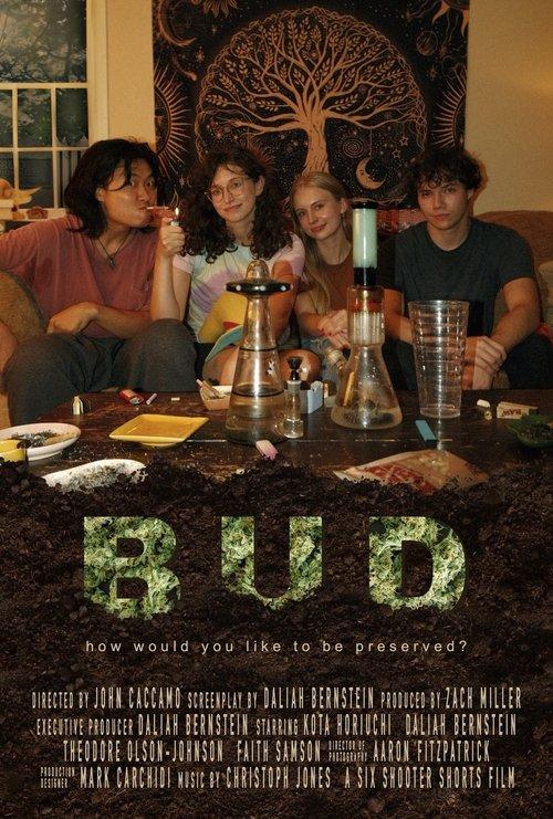 BUD film afişi