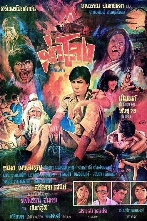 Dissecting the Coffin film afişi