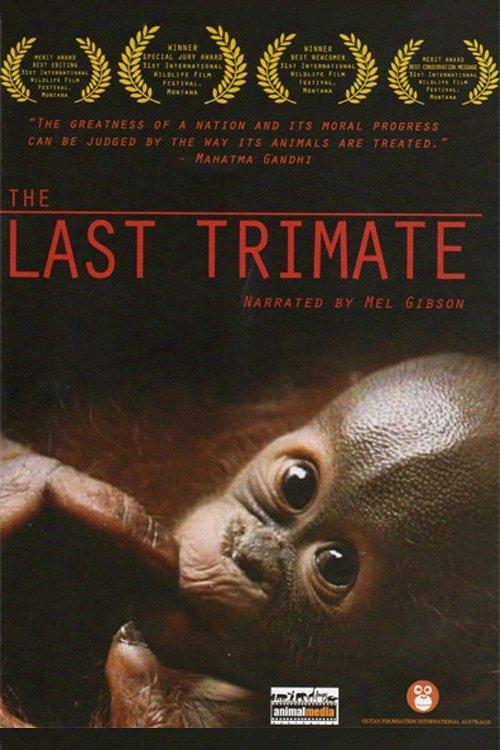The Last Trimate film afişi