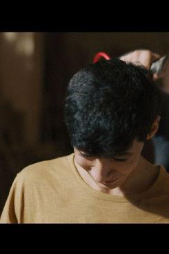 Cedar Wolf film afişi