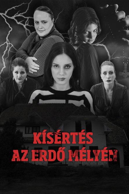 Kísértés az erdő mélyén - "A Megtört Fény" film afişi