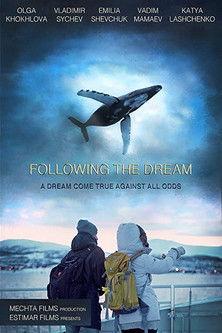 Following the Dream film afişi